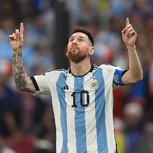 MESSI GOAT🐐👑🇦🇷 sticker 13