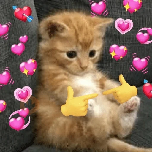 Reacciones con Amor 💘 😍 sticker 19