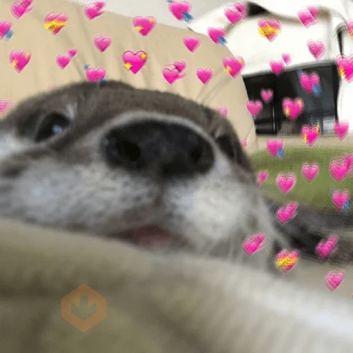 Reacciones con Amor 💘 😍 sticker 12