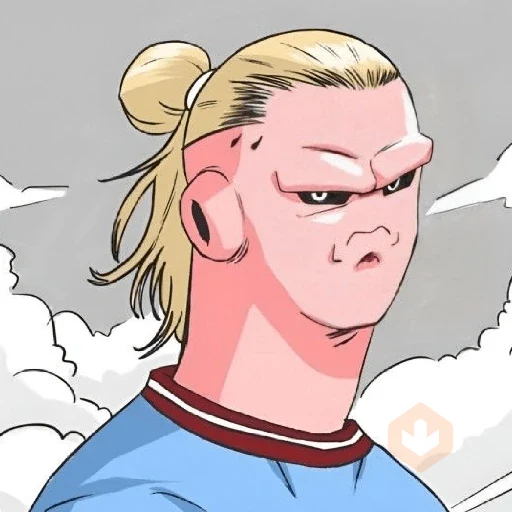 🇳🇴⚽️ HAALAND ⚽️🇳🇴 sticker 21