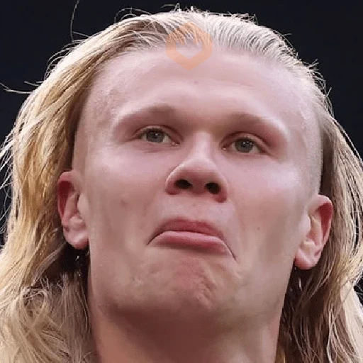 🇳🇴⚽️ HAALAND ⚽️🇳🇴 sticker 23