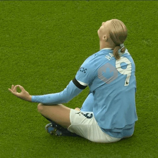 Erling Haaland ⚽️🇳🇴 sticker 11