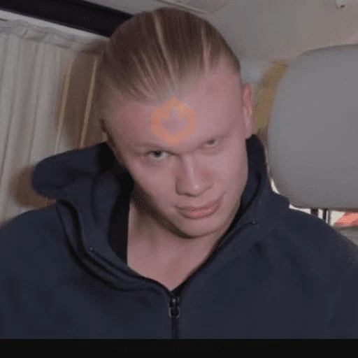 Erling Haaland ⚽️🇳🇴 sticker 13
