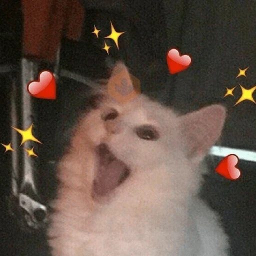 Amor/ romântico ❤️😍 sticker 13