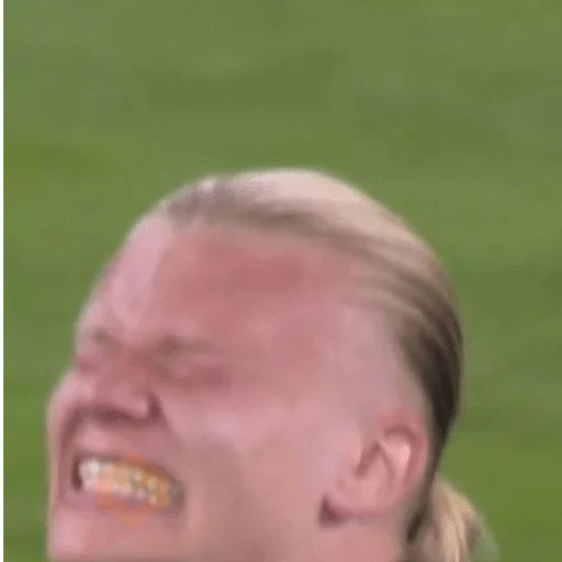 Haaland memes sticker 12