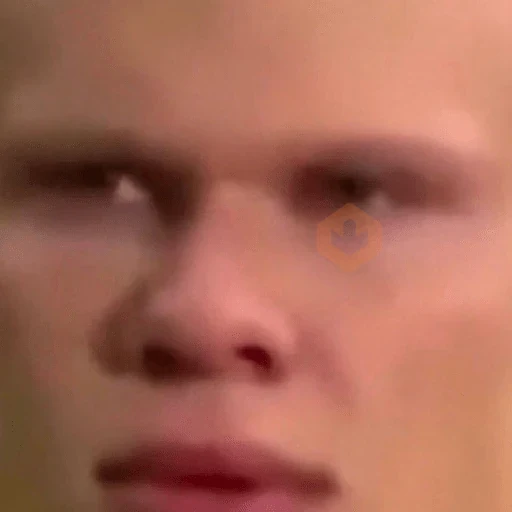 Haaland memes sticker 11