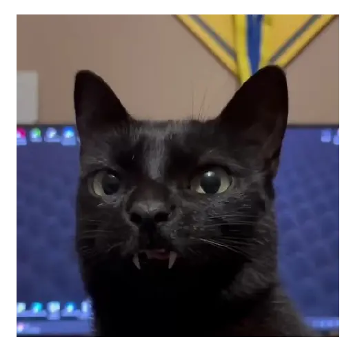 Gato Michi Mood 😼 sticker 15
