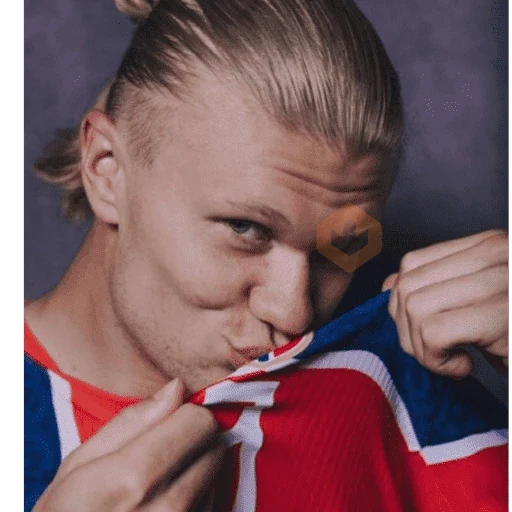 Haaland sticker 11