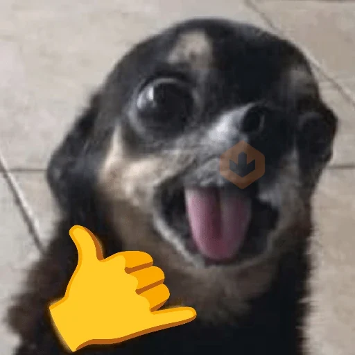 Doguinhos + Emojis 😍 sticker 11