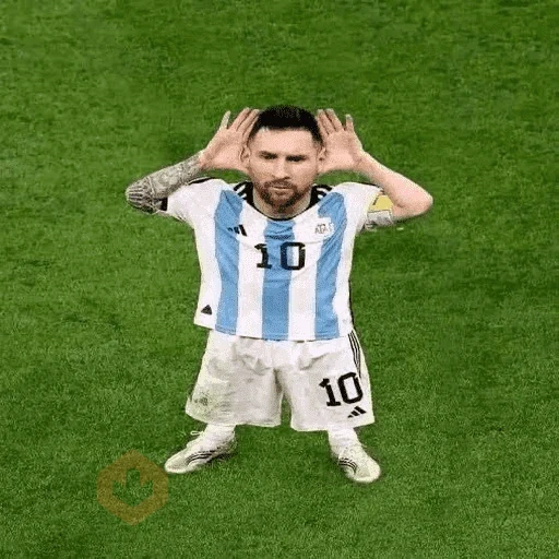 Messi 🏆🇦🇷 sticker 12