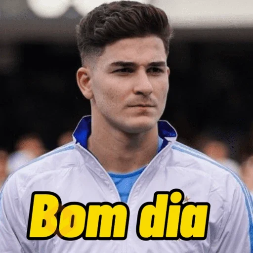 Julián Álvarez sticker 12