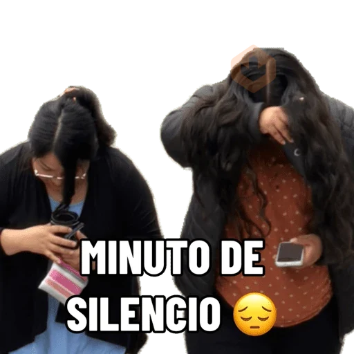 Mis pegatinas sticker 15