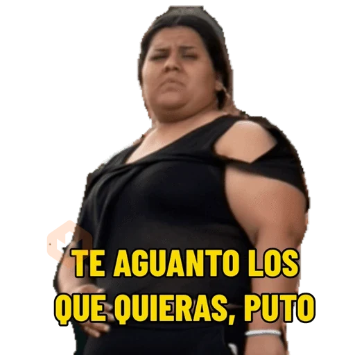 Mis pegatinas sticker 19