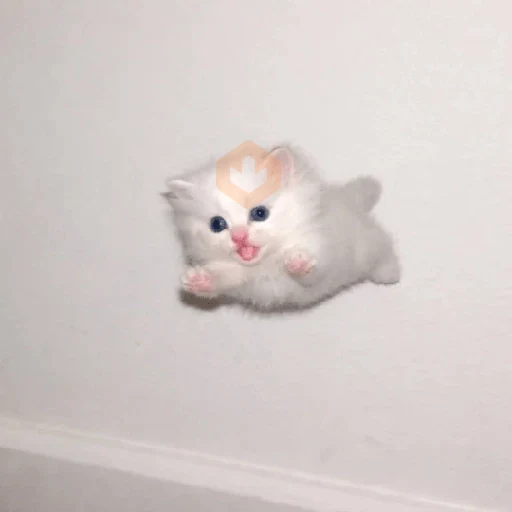 gatos sticker 13