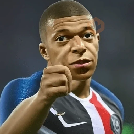 Mbappé Meme sticker 15