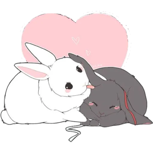 bunnies 💗
