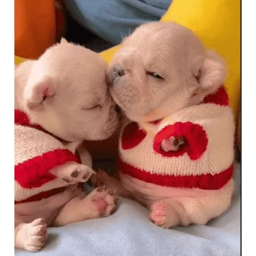 Pibble pal chat 🤣🐶 sticker 14