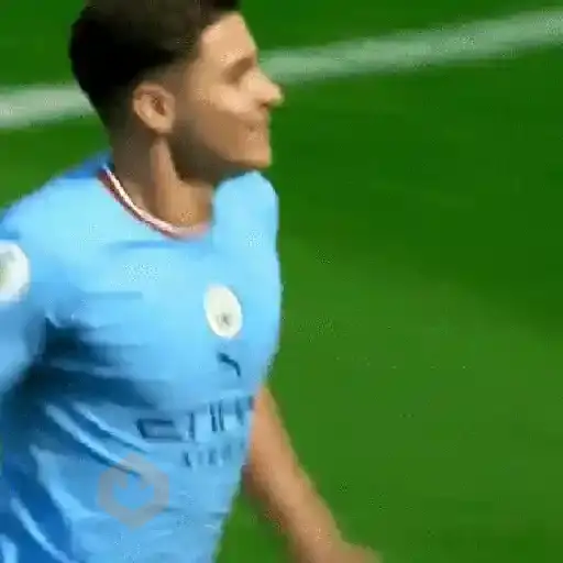 Julián Álvarez ⚽✨🇦🇷 sticker 12
