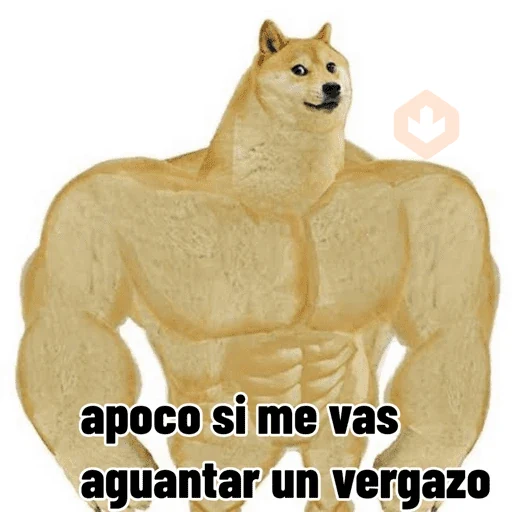 Mis pegatinas sticker 27