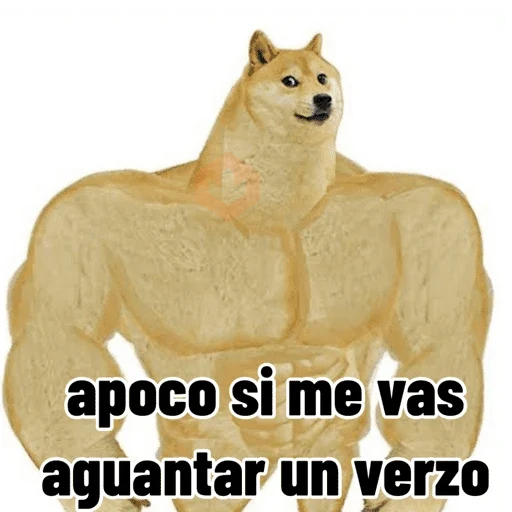 Mis pegatinas sticker 26