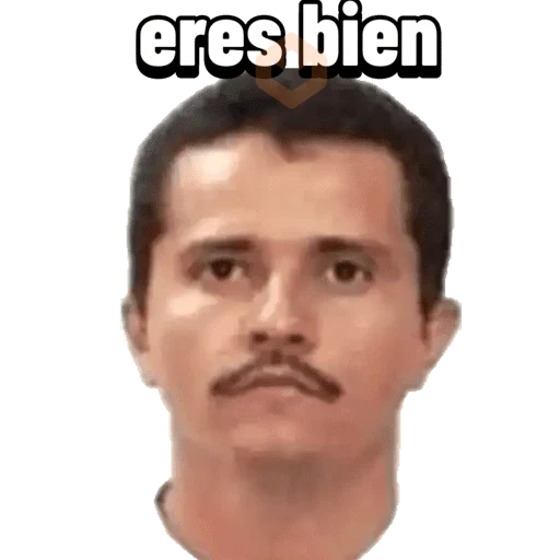 Mis pegatinas sticker 23
