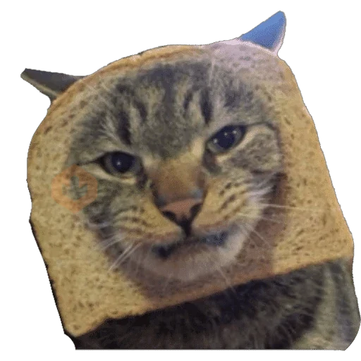 Gatos en pan 🤣 - Memes sticker 20
