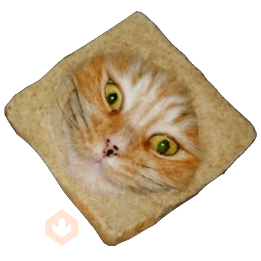 Gatos en pan 🤣 - Memes sticker 12