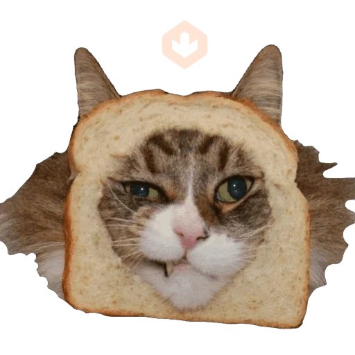 Gatos en pan 🤣 - Memes sticker 23
