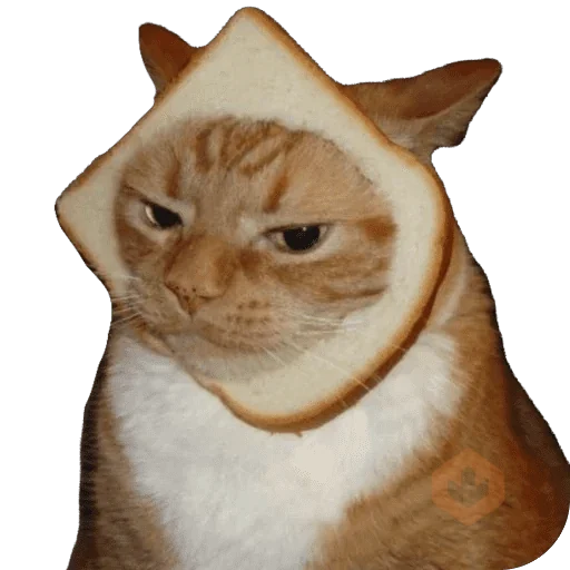 Gatos en pan 🤣 - Memes sticker 21