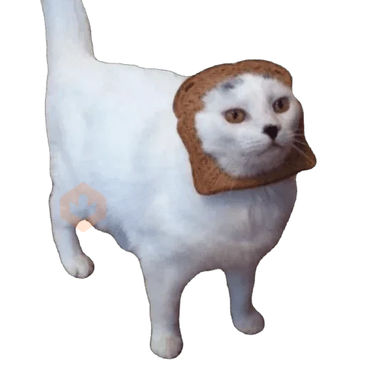 Gatos en pan 🤣 - Memes sticker 22