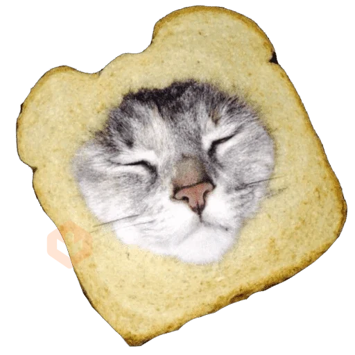 Gatos en pan 🤣 - Memes sticker 19