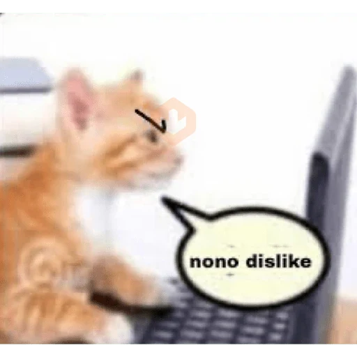 Gatos II sticker 13