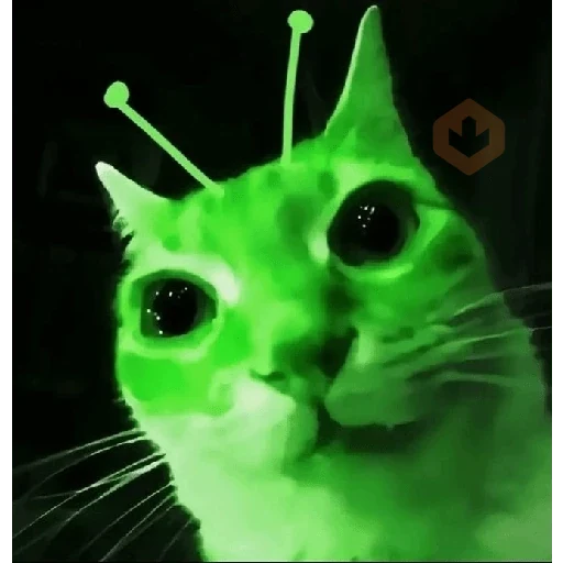 Gatos II sticker 27