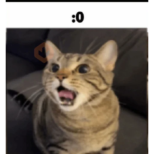 Gatos II sticker 28