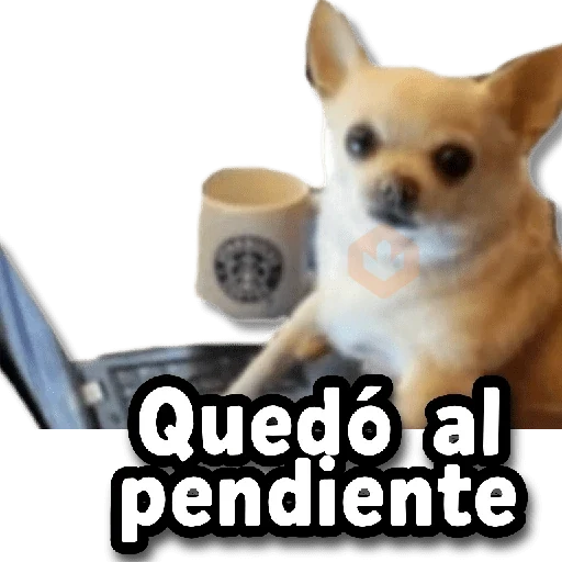 ⚡COMBO de Stickers #➋➍ sticker 11