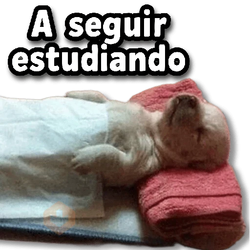 ⚡COMBO de Stickers #➋➍ sticker 12