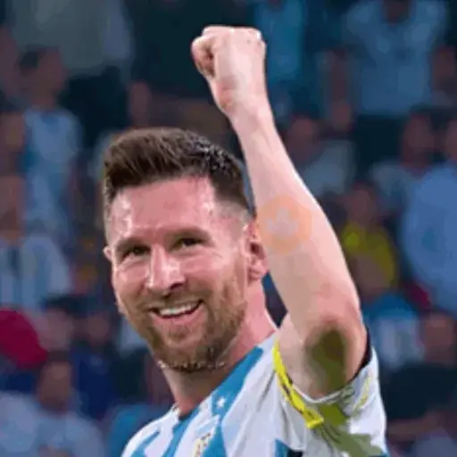 Argentina a la Final!!! ✨⚽️🫶🏻🇦🇷 sticker 14