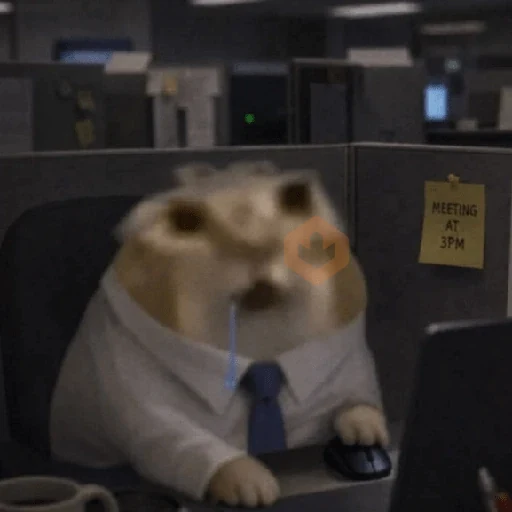 Gato Babeando Tiktok 🐱 sticker 14