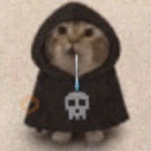 Gato Babeando Tiktok 🐱 sticker 19