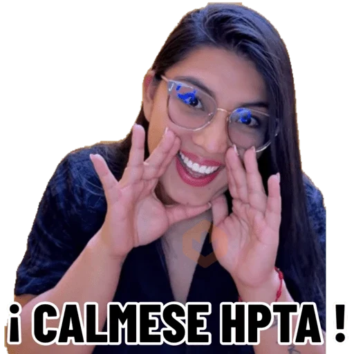 Mis pegatinas sticker 25