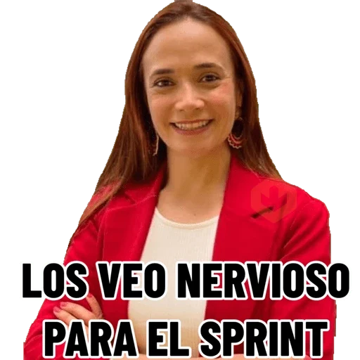 Mis pegatinas sticker 17