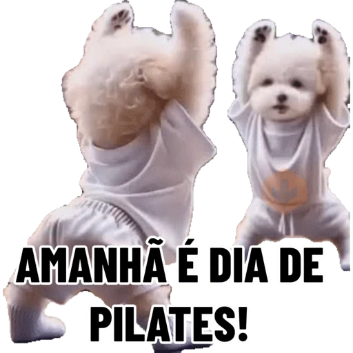 Minhas figurinhas sticker 30