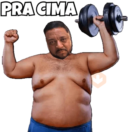 Minhas figurinhas sticker 29