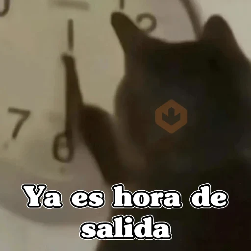 🧿 Gatos Memes 🐈🐱 sticker 11