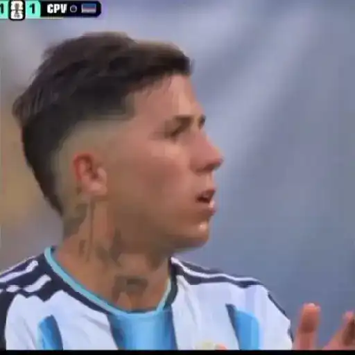 Enzo Fernández🇦🇷 sticker 17
