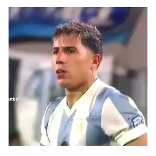 Enzo Fernandez ⚽🇦🇷 sticker 11
