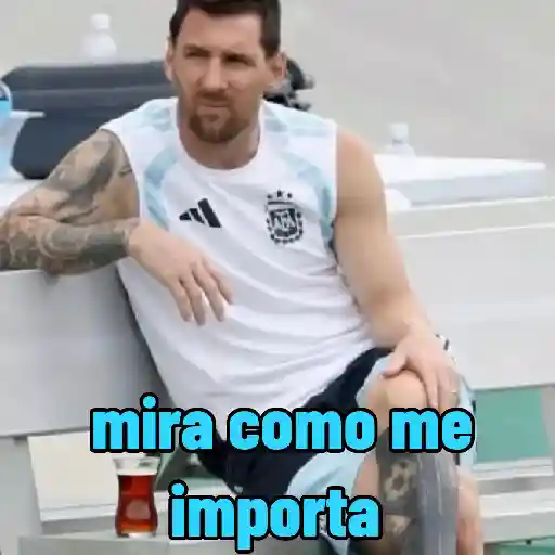 pa' la final Argentina España sticker 14