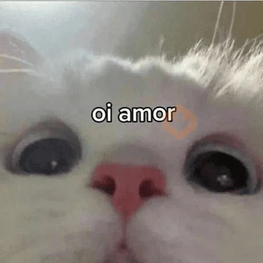 namorados sticker 11