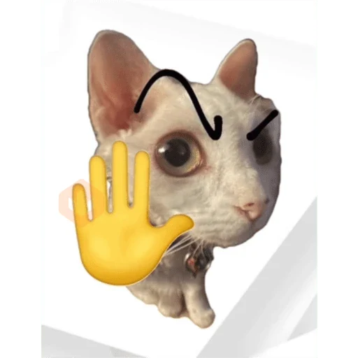 Chimuelote - Lautaro Merkel sticker 22