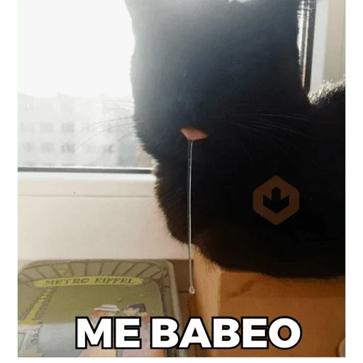 Chimuelote - Lautaro Merkel sticker 17